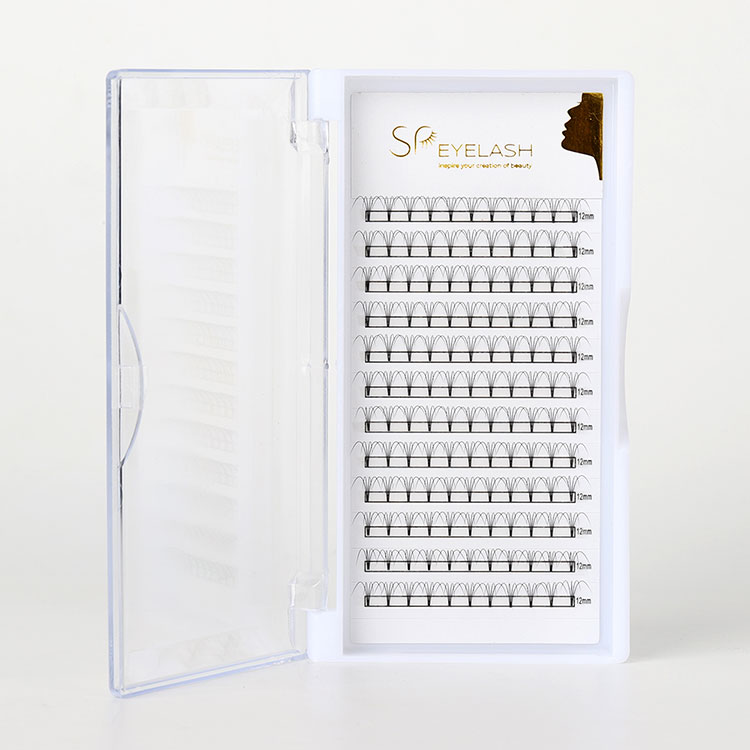 پیشہ ورانہ کوڑے مارے جانے والے پریمیڈ فین کوڑے کیوں ہیں؟